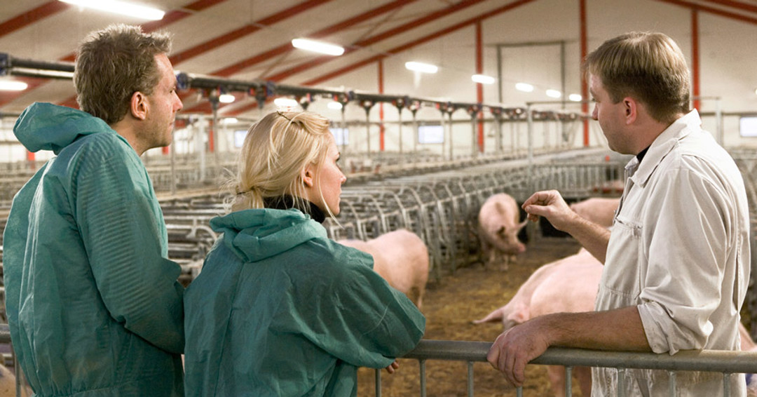 Maul- und Klauenseuche